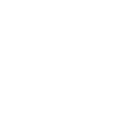 Dr. Jaime Velez
